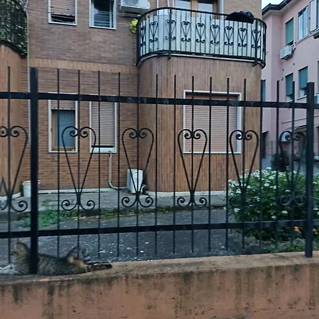 Bm Venice *